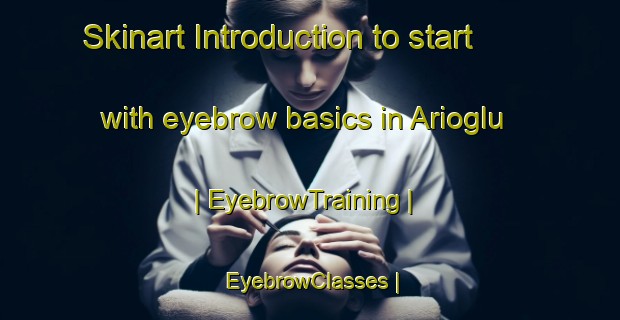 Skinart Introduction to start with eyebrow basics in Arioglu | EyebrowTraining | EyebrowClasses | SkinartTraining-Turkey